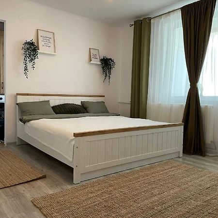Carol Apartament'S Timisoara Luaran gambar