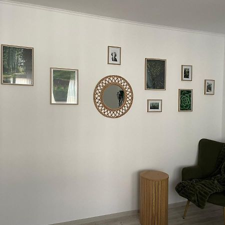 Carol Apartament'S Timisoara Luaran gambar