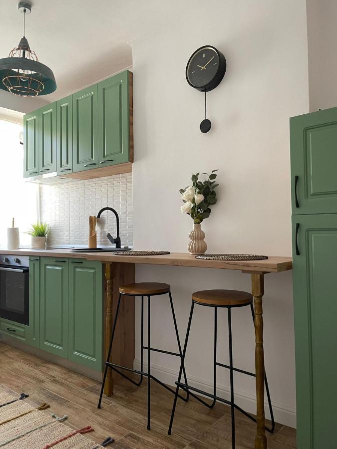 Carol Apartament'S Timisoara Luaran gambar