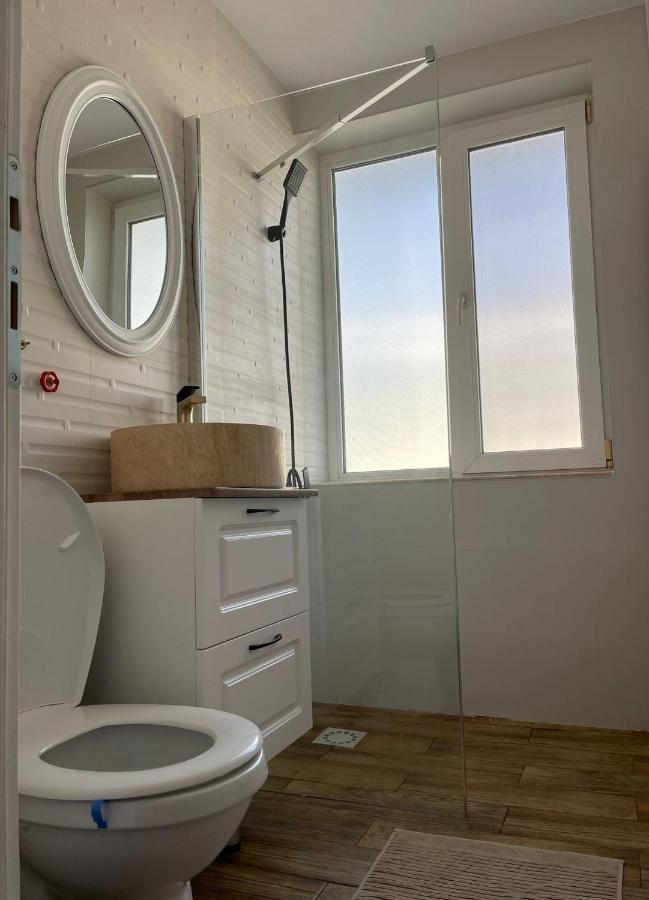 Carol Apartament'S Timisoara Luaran gambar