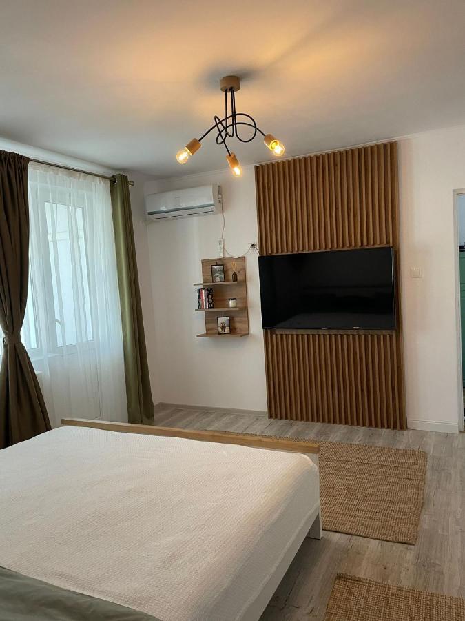 Carol Apartament'S Timisoara Luaran gambar
