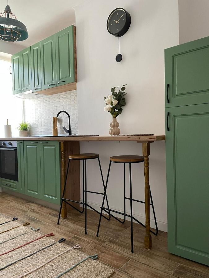 Carol Apartament'S Timisoara Luaran gambar