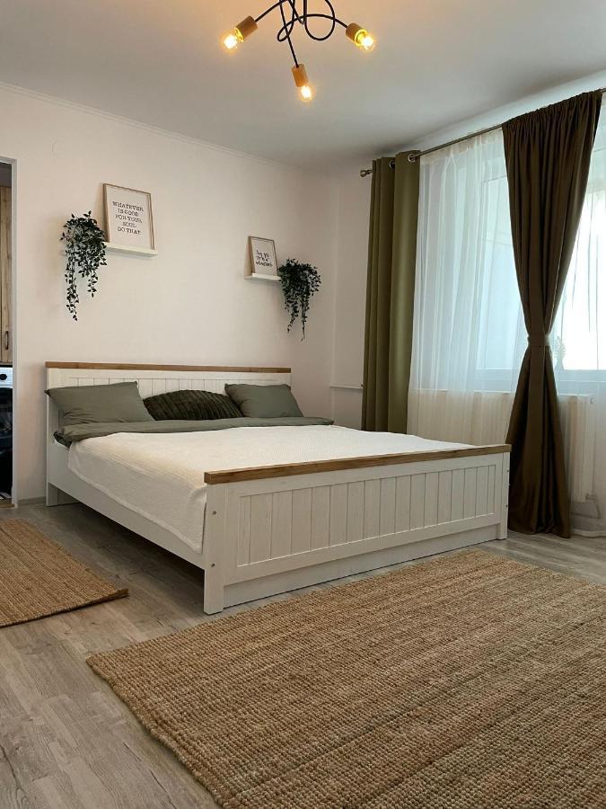 Carol Apartament'S Timisoara Luaran gambar